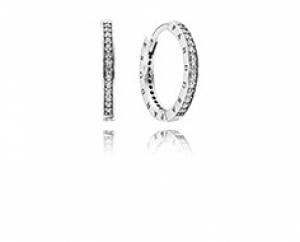 AW2014/5 Zilver
