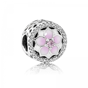  Zilver