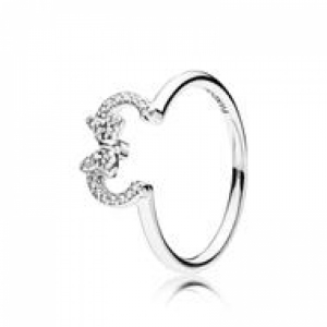  Zilver