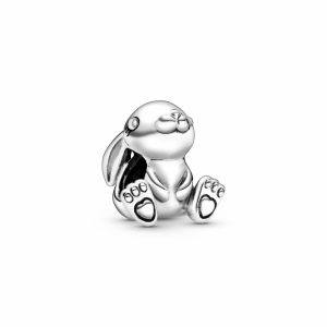  Zilver