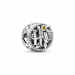  Zilver