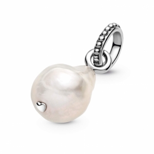  Zilver