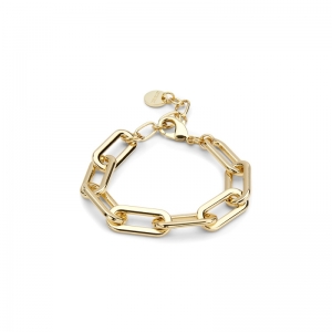  Goudkleurig