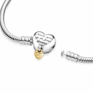  Zilver/Goud