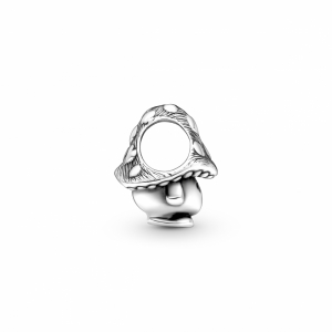  Zilver