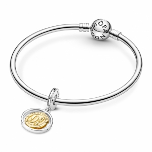  Zilver/Goud