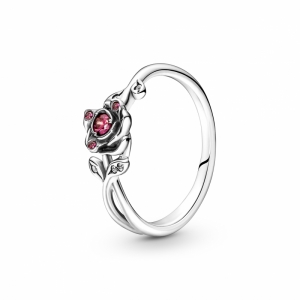  Zilver