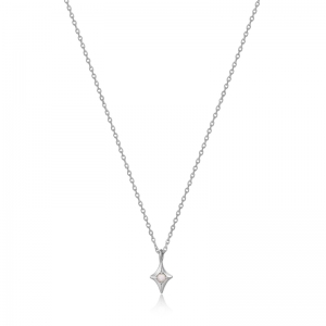  Zilver