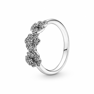  Zilver