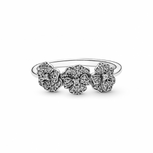  Zilver