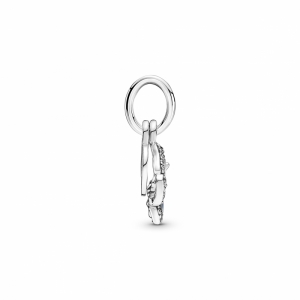  Zilver