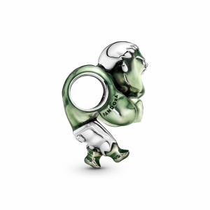 790220C01 Zilver