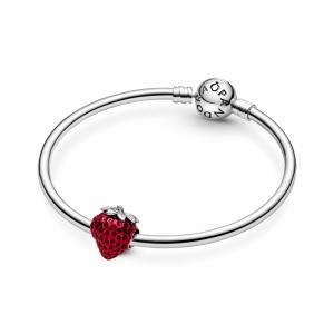 Zilver