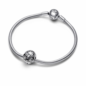  Zilver