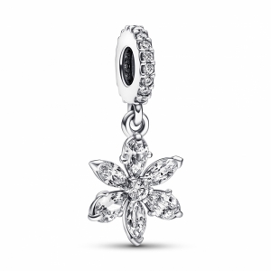  Zilver