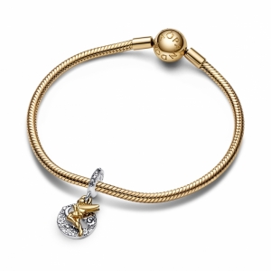  Zilver/Goud