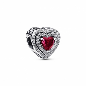  Zilver