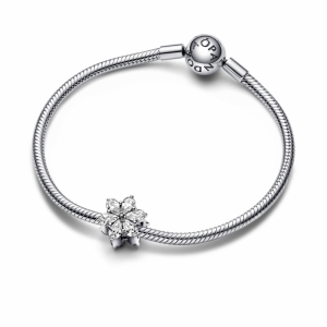  Zilver