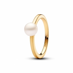  goud