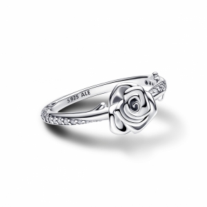  zilver
