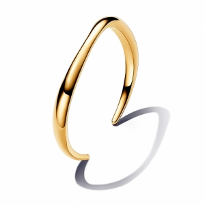  goud
