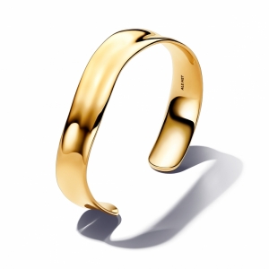  goud