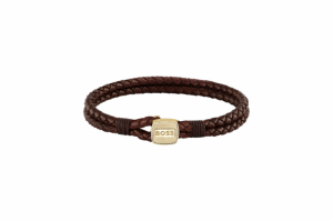  bruin
